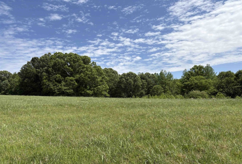 0 OSBORNTOWN RD, Arlington, Tennessee 38002, 0 , 0 ,0,Land,For Sale,OSBORNTOWN,0,10229651