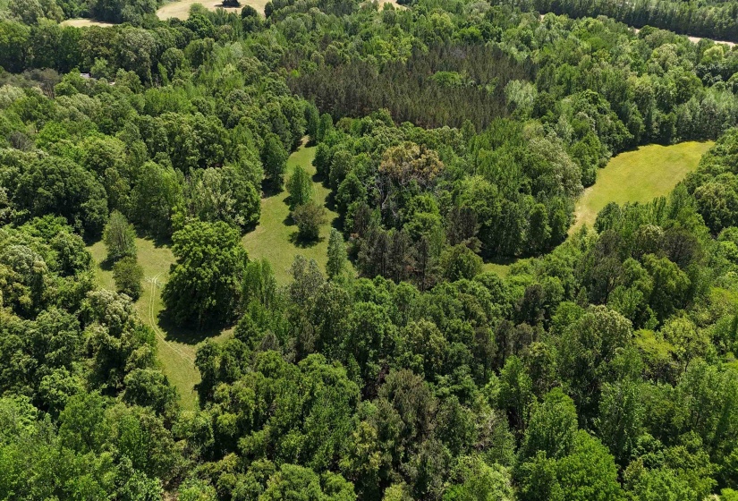 0 OSBORNTOWN RD, Arlington, Tennessee 38002, 0 , 0 ,0,Land,For Sale,OSBORNTOWN,0,10229651