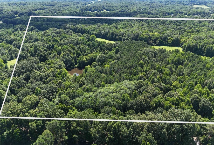 0 OSBORNTOWN RD, Arlington, Tennessee 38002, 0 , 0 ,0,Land,For Sale,OSBORNTOWN,0,10229651