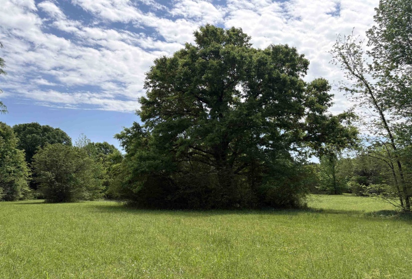 0 OSBORNTOWN RD, Arlington, Tennessee 38002, 0 , 0 ,0,Land,For Sale,OSBORNTOWN,0,10229651