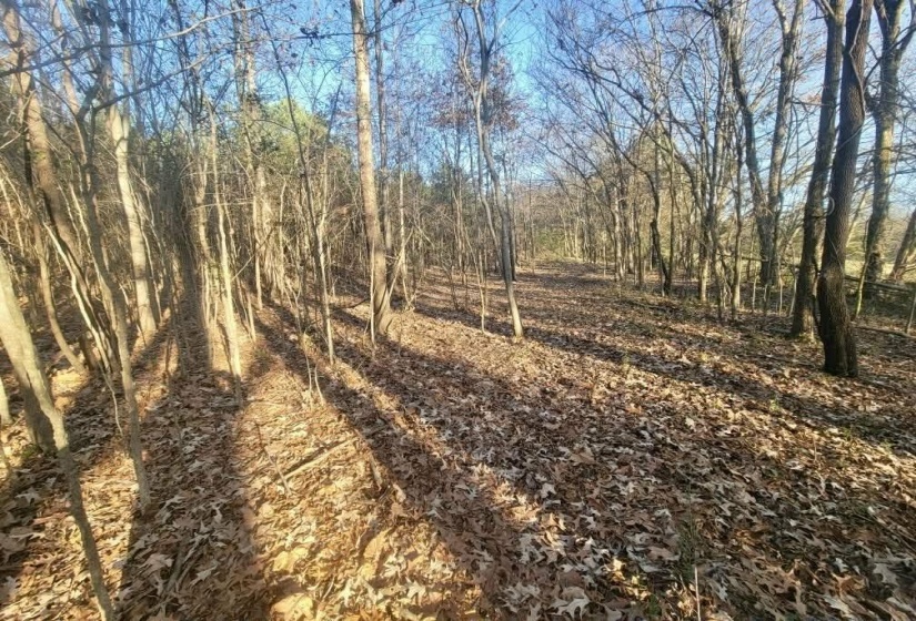 KAY LN, Somerville, Tennessee 38068, 0 , 0 ,0,Land,For Sale,KAY,0,10229660