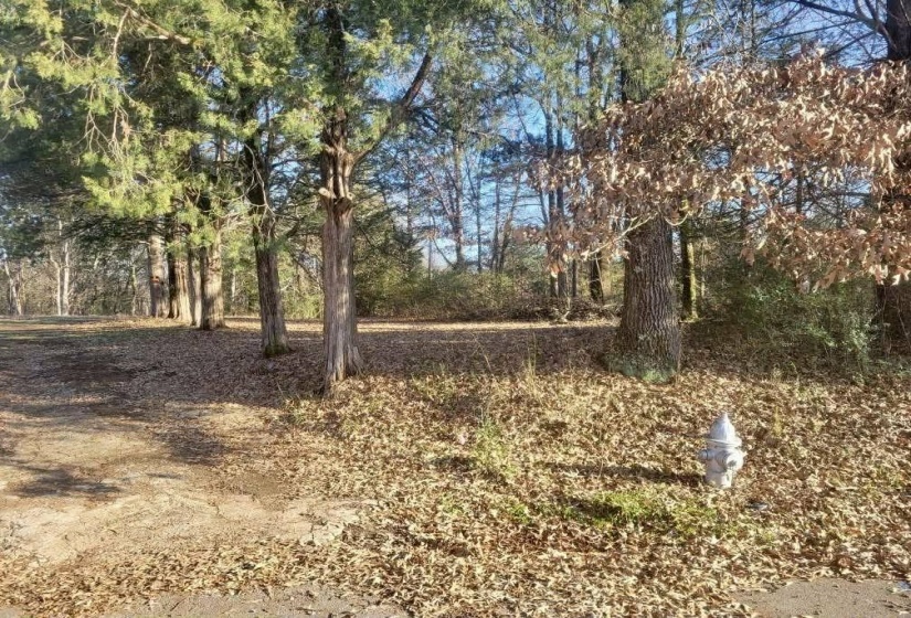 KAY LN, Somerville, Tennessee 38068, 0 , 0 ,0,Land,For Sale,KAY,0,10229660