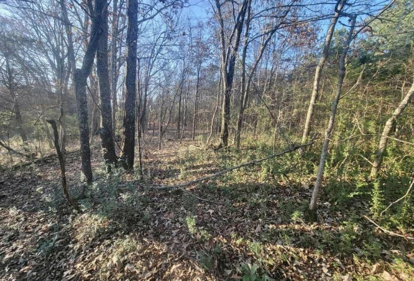KAY LN, Somerville, Tennessee 38068, 0 , 0 ,0,Land,For Sale,KAY,0,10229660