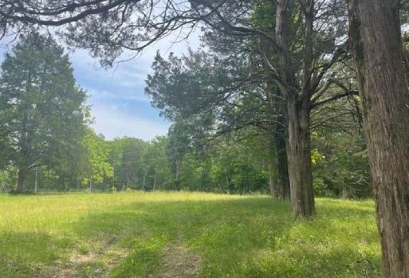 KAY LN, Somerville, Tennessee 38068, 0 , 0 ,0,Land,For Sale,KAY,0,10229660