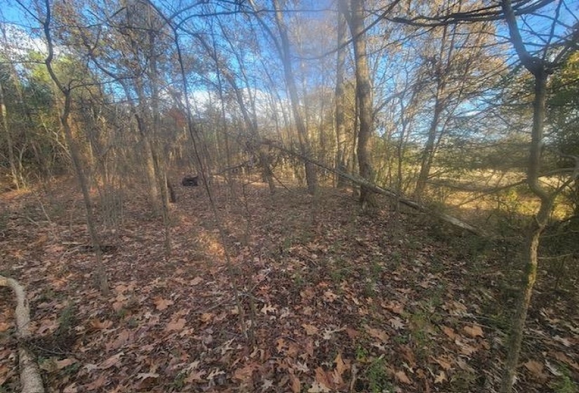 KAY LN, Somerville, Tennessee 38068, 0 , 0 ,0,Land,For Sale,KAY,0,10229660