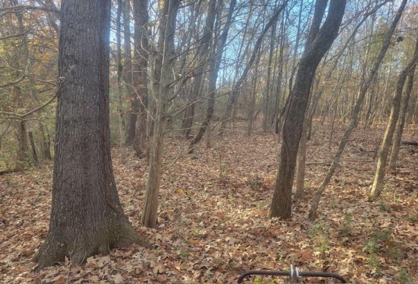 KAY LN, Somerville, Tennessee 38068, 0 , 0 ,0,Land,For Sale,KAY,0,10229660