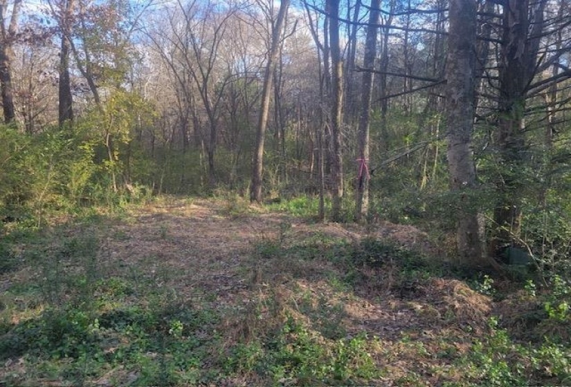 KAY LN, Somerville, Tennessee 38068, 0 , 0 ,0,Land,For Sale,KAY,0,10229660