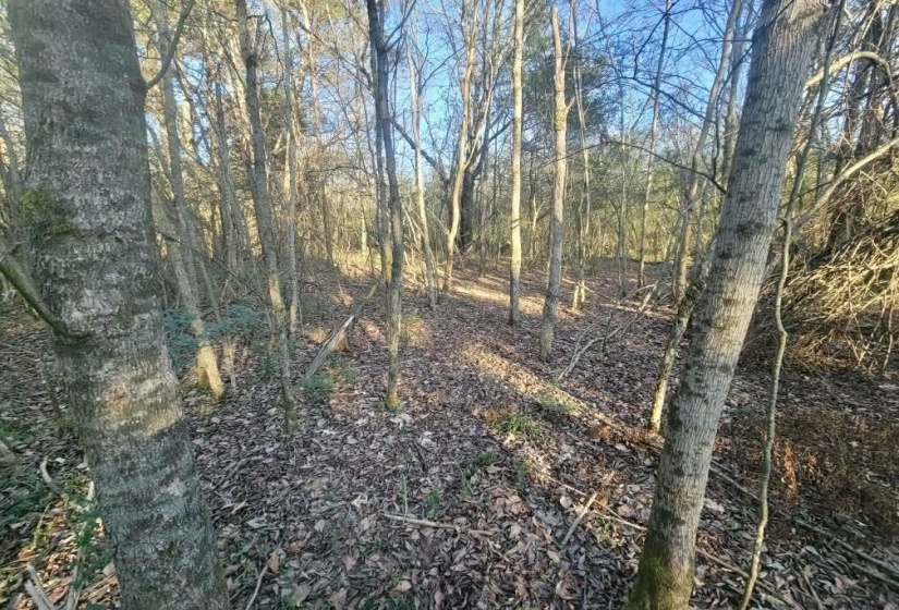 KAY LN, Somerville, Tennessee 38068, 0 , 0 ,0,Land,For Sale,KAY,0,10229660