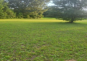 0 HWY 45 HWY, Ramer, Tennessee 38367, 0 , 0 ,0,Land,For Sale,HWY 45,0,10229704