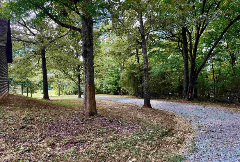 1155 ASBURY DR, Somerville, Tennessee 38068, 3 Bedroom Bedrooms, 5 Room Rooms,2 BathroomBathrooms,Residential,For Sale,ASBURY,0,10229677