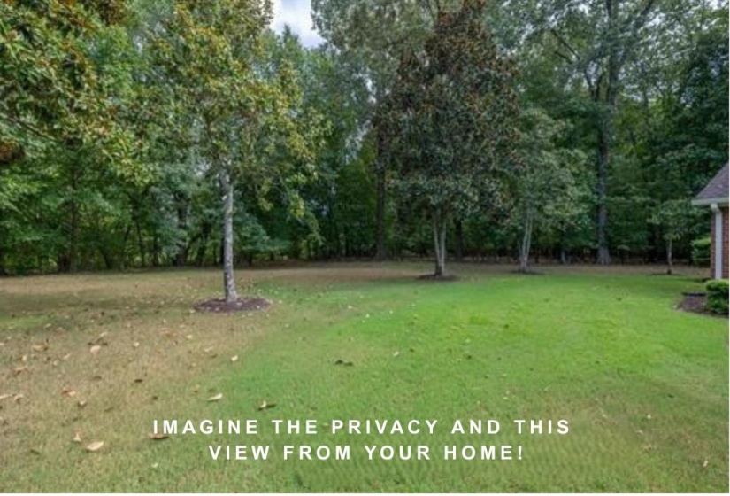 1097 OAK TIMBER CIR, Collierville, Tennessee 38017, 2 Bedroom Bedrooms, 6 Room Rooms,2 BathroomBathrooms,Residential,For Sale,OAK TIMBER,0,10229679