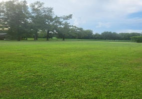 0 ALLEN MCCOY RD, Ramer, Tennessee 38367, 0 , 0 ,0,Land,For Sale,ALLEN MCCOY,0,10229709