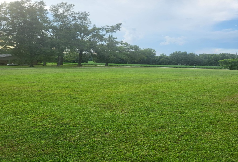 0 ALLEN MCCOY RD, Ramer, Tennessee 38367, 0 , 0 ,0,Land,For Sale,ALLEN MCCOY,0,10229709