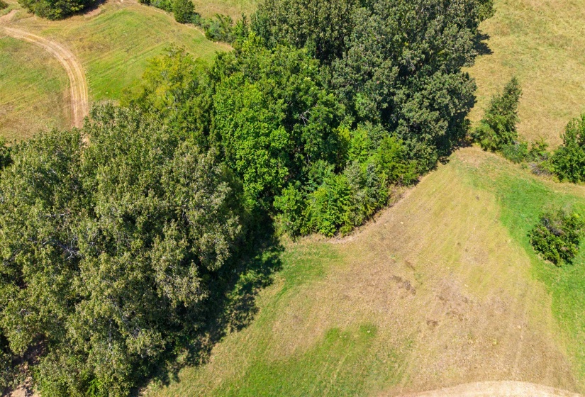 3350 FISHERVILLE RD, Collierville, Tennessee 38017, 0 , 0 ,0,Land,For Sale,FISHERVILLE,0,10229733