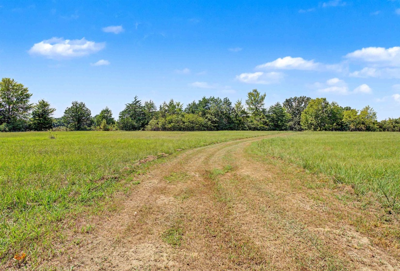 3350 FISHERVILLE RD, Collierville, Tennessee 38017, 0 , 0 ,0,Land,For Sale,FISHERVILLE,0,10229733