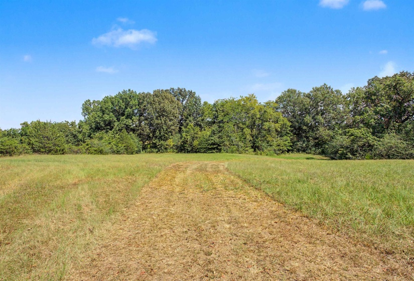 3350 FISHERVILLE RD, Collierville, Tennessee 38017, 0 , 0 ,0,Land,For Sale,FISHERVILLE,0,10229733