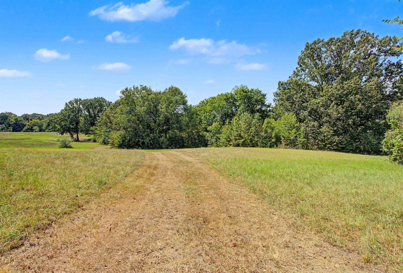 3350 FISHERVILLE RD, Collierville, Tennessee 38017, 0 , 0 ,0,Land,For Sale,FISHERVILLE,0,10229733