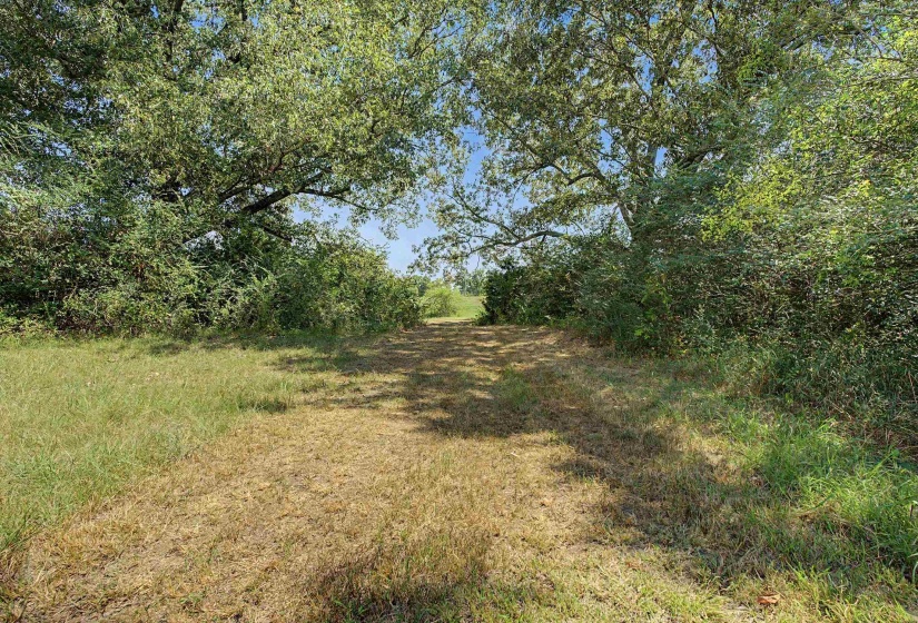 3350 FISHERVILLE RD, Collierville, Tennessee 38017, 0 , 0 ,0,Land,For Sale,FISHERVILLE,0,10229733