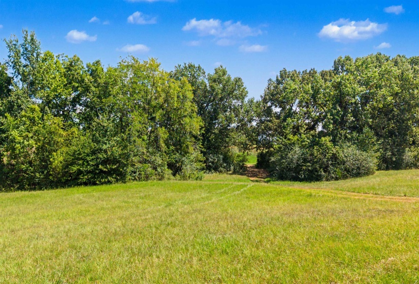3350 FISHERVILLE RD, Collierville, Tennessee 38017, 0 , 0 ,0,Land,For Sale,FISHERVILLE,0,10229733
