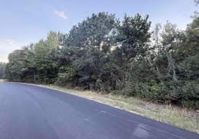 650 PERSON RD, Oakland, Tennessee 38060, 0 , 0 ,0,Land,For Sale,PERSON,0,10229742