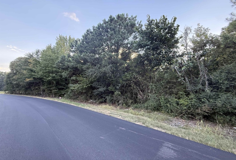 650 PERSON RD, Oakland, Tennessee 38060, 0 , 0 ,0,Land,For Sale,PERSON,0,10229742