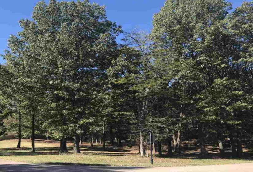 60 LANCASTER DR, Oakland, Tennessee 38002, ,Land,For Sale,LANCASTER,10140923