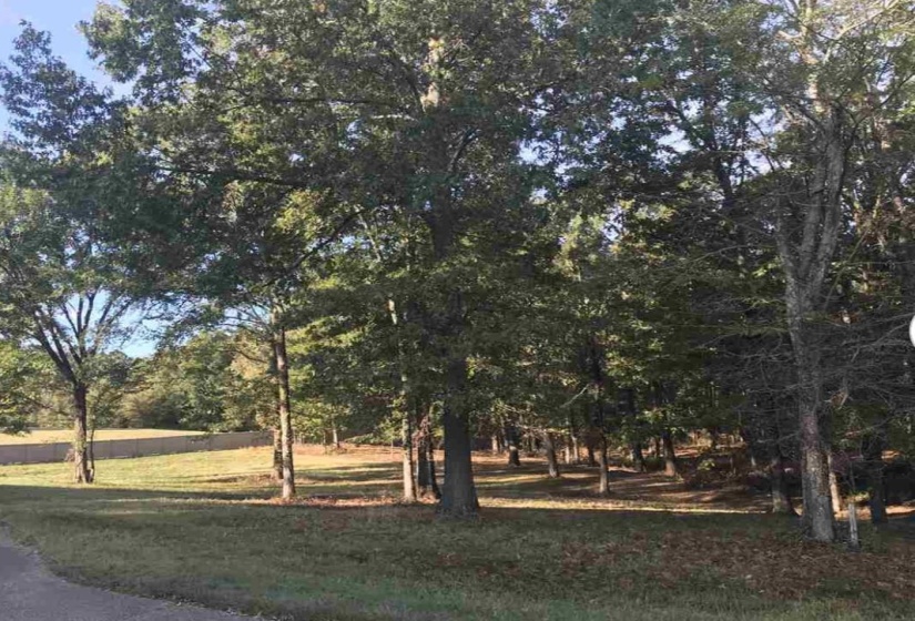 60 LANCASTER DR, Oakland, Tennessee 38002, ,Land,For Sale,LANCASTER,10140923