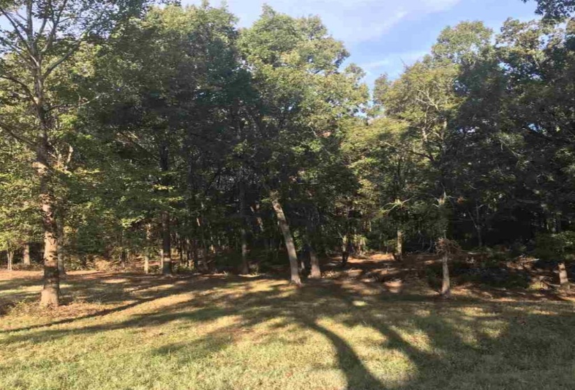 60 LANCASTER DR, Oakland, Tennessee 38002, ,Land,For Sale,LANCASTER,10140923