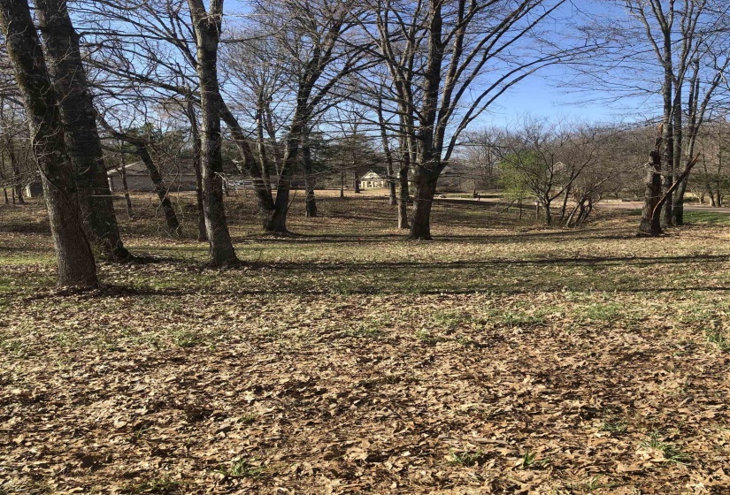 60 LANCASTER DR, Oakland, Tennessee 38002, ,Land,For Sale,LANCASTER,10140923