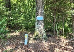 8626 LAMAR RD, Olive Branch, Tennessee 38654, ,Land,For Sale,LAMAR,10148069