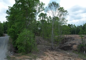 OMA JEAN LN, Savannah, Tennessee 38372, ,Land,For Sale,OMA JEAN,10148106