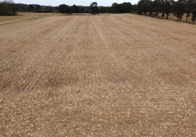 00 HWY 51 HWY, Halls, Tennessee 38040, ,Land,For Sale,HWY 51,10150540