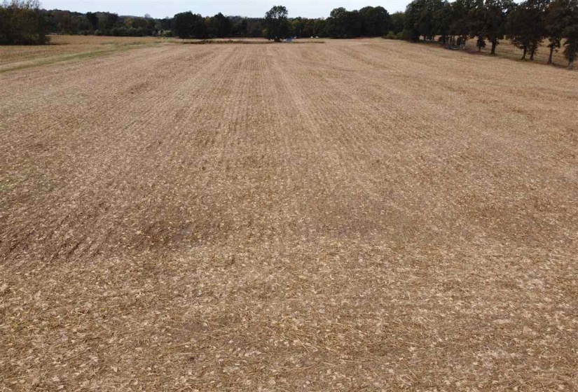 00 HWY 51 HWY, Halls, Tennessee 38040, ,Land,For Sale,HWY 51,10150540