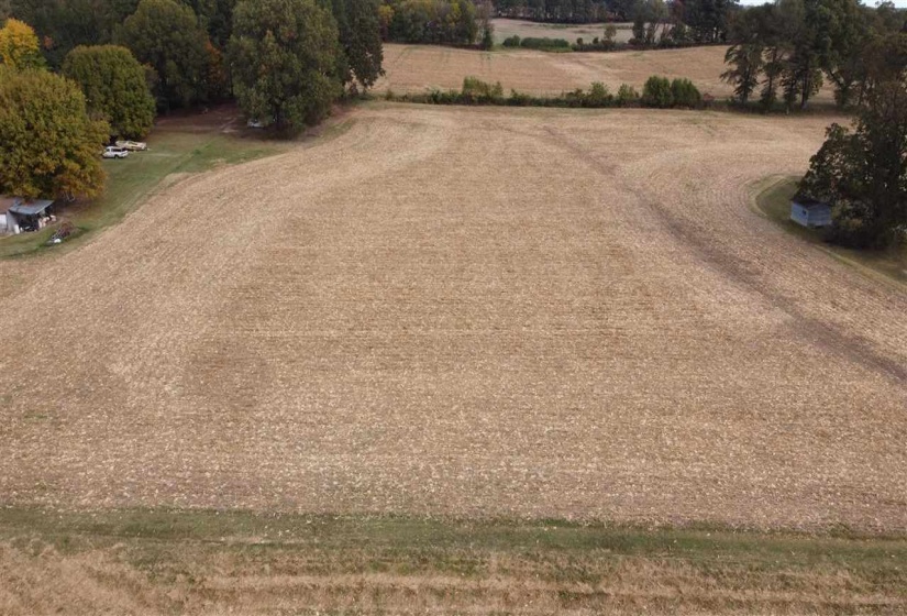 00 HWY 51 HWY, Halls, Tennessee 38040, ,Land,For Sale,HWY 51,10150540