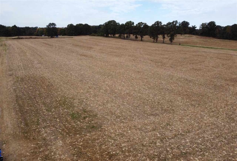 00 HWY 51 HWY, Halls, Tennessee 38040, ,Land,For Sale,HWY 51,10150540