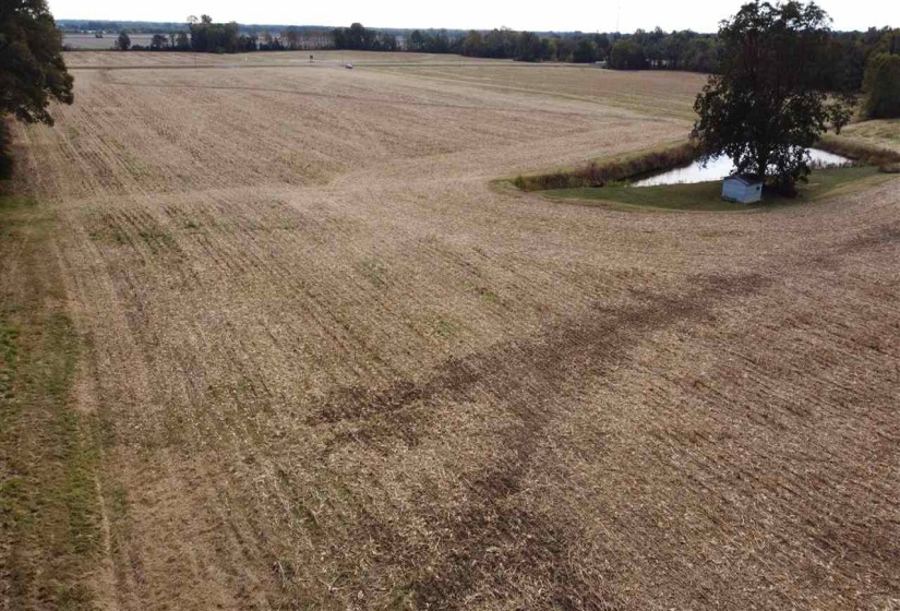 00 HWY 51 HWY, Halls, Tennessee 38040, ,Land,For Sale,HWY 51,10150540