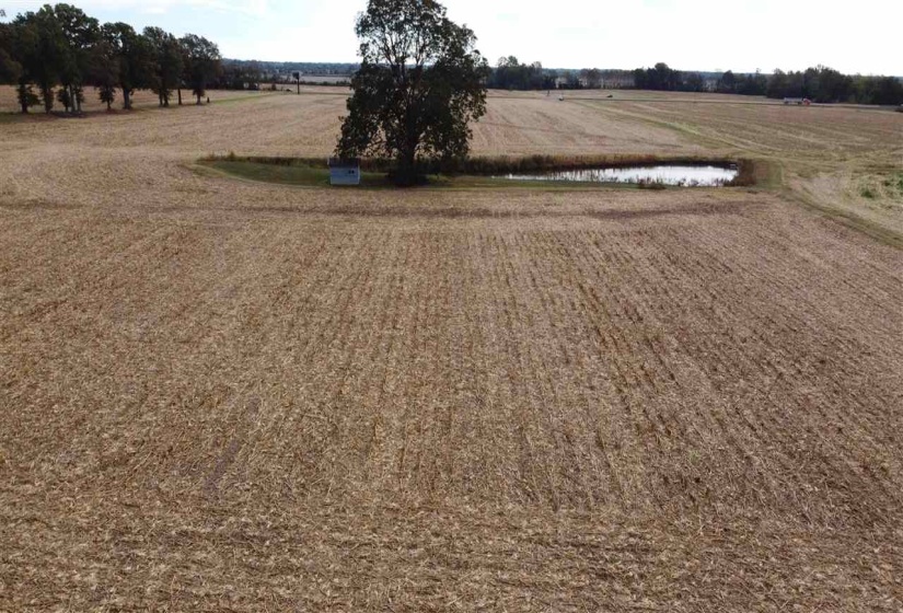 00 HWY 51 HWY, Halls, Tennessee 38040, ,Land,For Sale,HWY 51,10150540