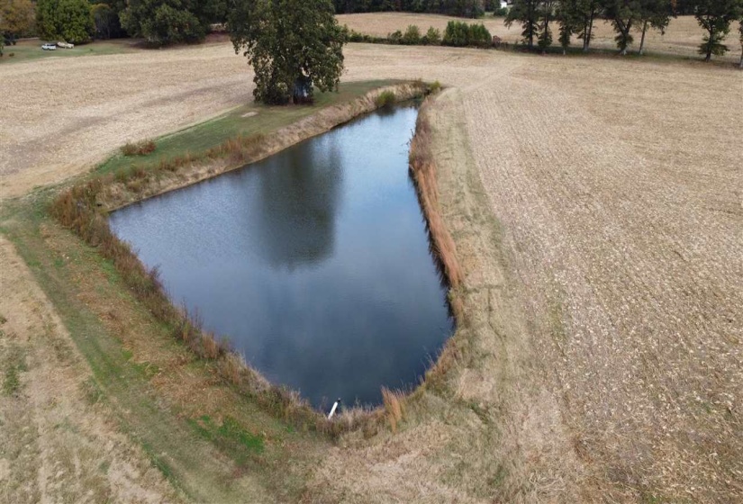 00 HWY 51 HWY, Halls, Tennessee 38040, ,Land,For Sale,HWY 51,10150540