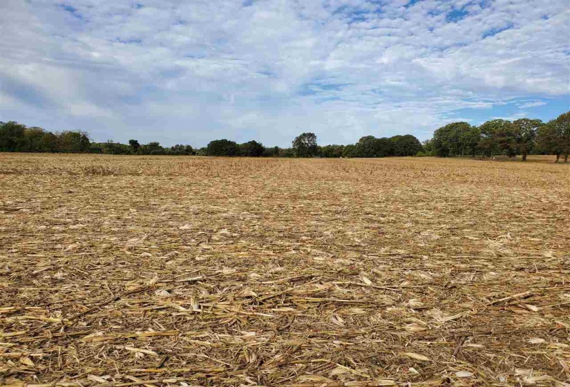 00 HWY 51 HWY, Halls, Tennessee 38040, ,Land,For Sale,HWY 51,10150540