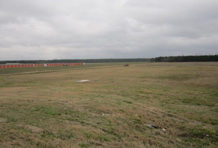 33 51 HWY, Ripley, Tennessee 38063, ,Land,For Sale,51,10045462