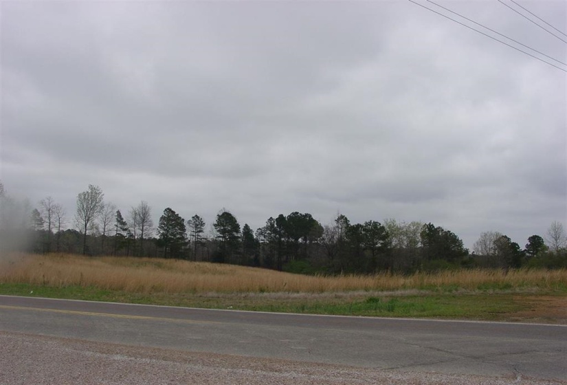 10785 HWY 57 HWY, Counce, Tennessee 38326-3621, ,Land,For Sale,HWY 57,10079161