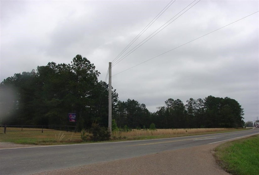 10785 HWY 57 HWY, Counce, Tennessee 38326-3621, ,Land,For Sale,HWY 57,10079161