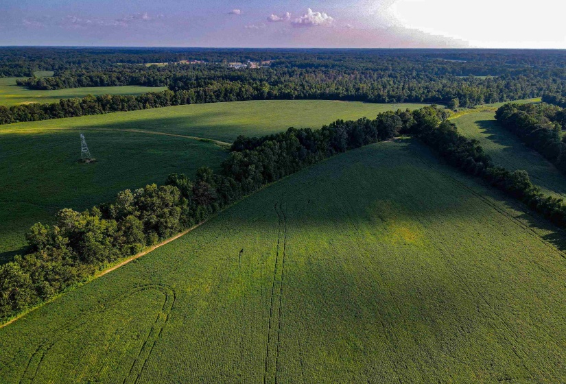 BRAGG RD, Arlington, Tennessee 38028, ,Land,For Sale,BRAGG,10154586