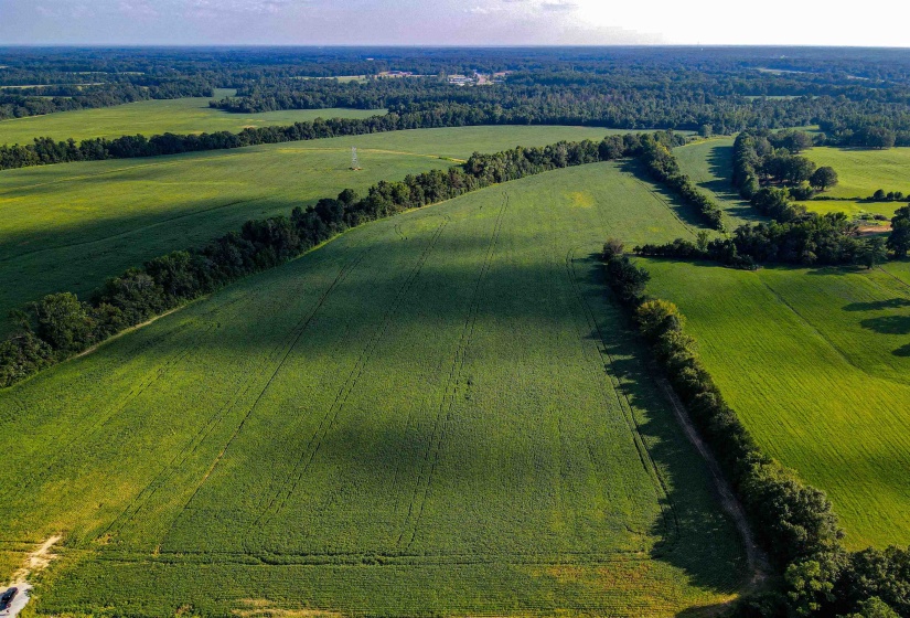 BRAGG RD, Arlington, Tennessee 38028, ,Land,For Sale,BRAGG,10154586