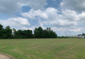 00 WILLOW CREEK DR, Ripley, Tennessee 38063, ,Land,For Sale,WILLOW CREEK,10154955