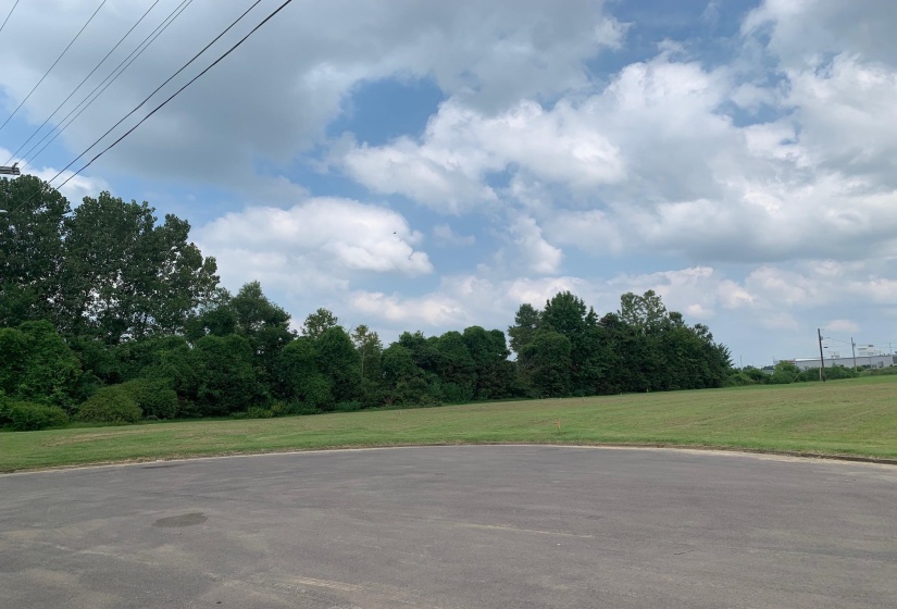 00 WILLOW CREEK DR, Ripley, Tennessee 38063, ,Land,For Sale,WILLOW CREEK,10154955
