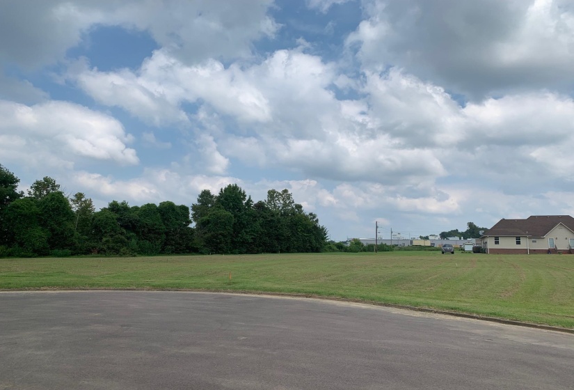 00 WILLOW CREEK DR, Ripley, Tennessee 38063, ,Land,For Sale,WILLOW CREEK,10154955