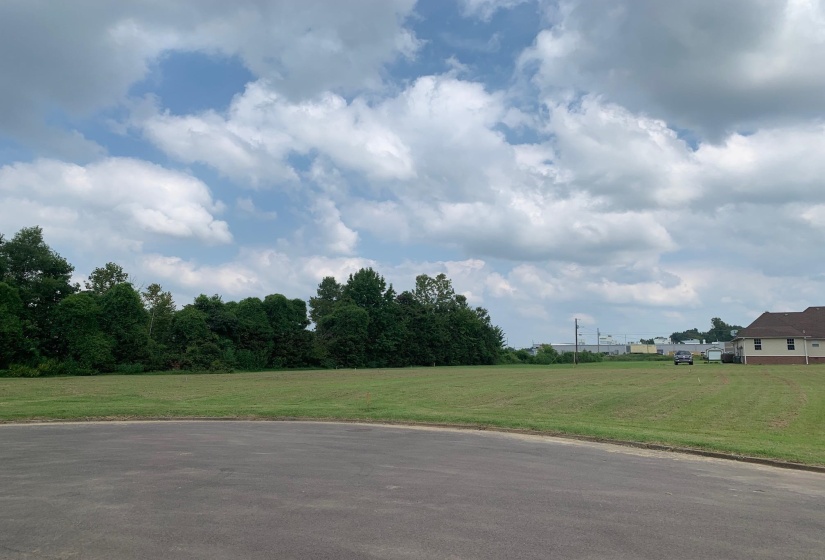 00 WILLOW CREEK DR, Ripley, Tennessee 38063, ,Land,For Sale,WILLOW CREEK,10154955