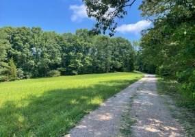 UNION WAY, Medon, Tennessee 38356, ,Land,For Sale,UNION,10155220