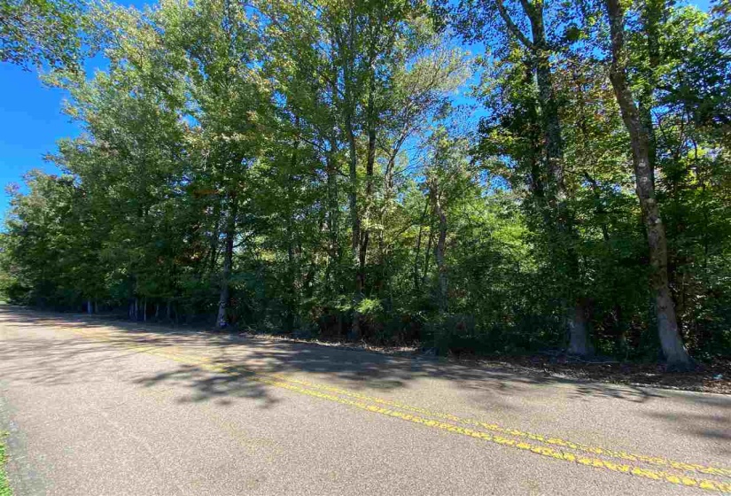 4710 CIRCLE RD, Unincorporated, Tennessee 38127, ,Land,For Sale,CIRCLE,10087039